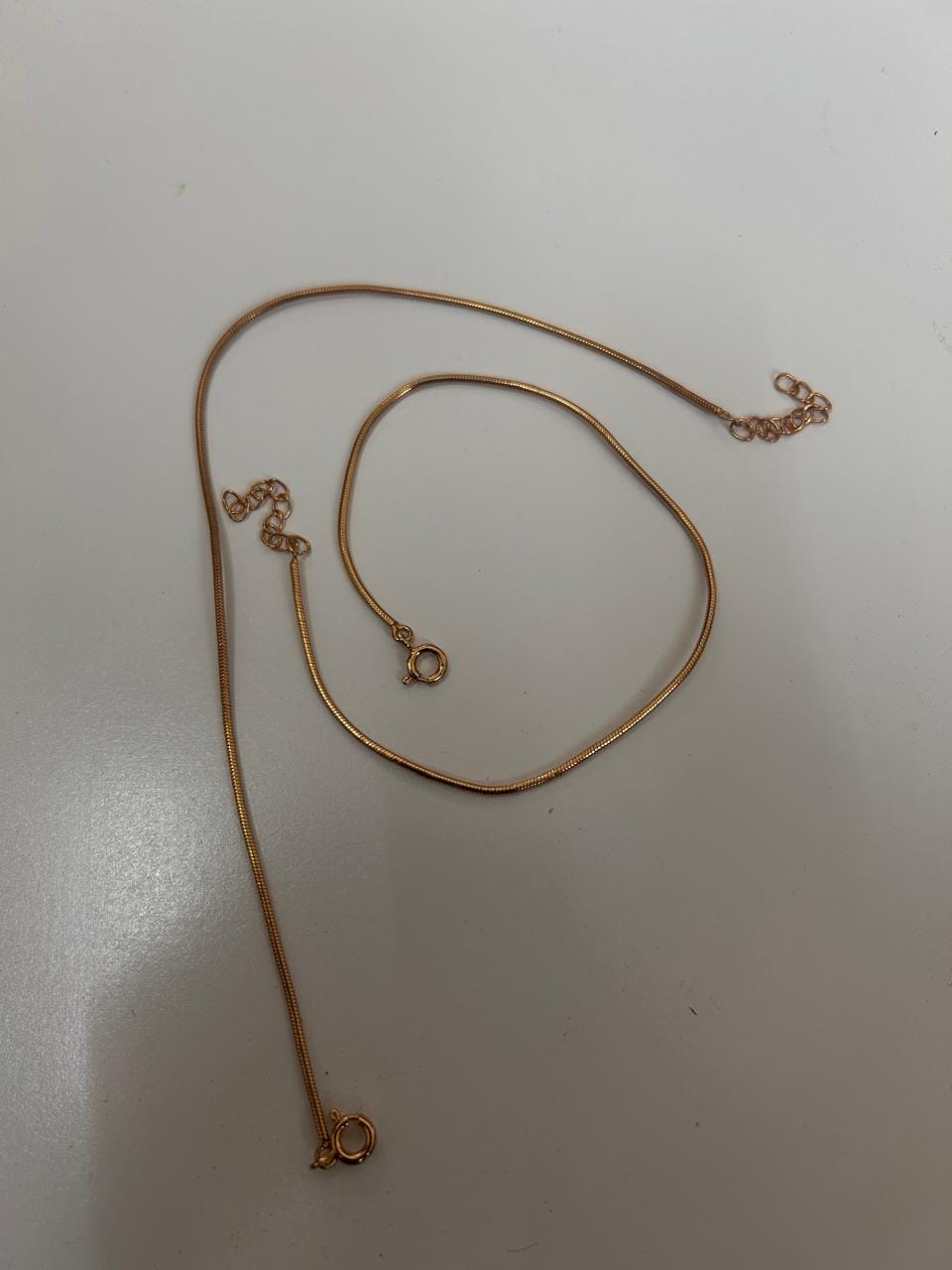 Customer photo review of Snake Chain Anklet