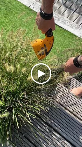 Customer video review of Grass/Hedge Trimmer 12V