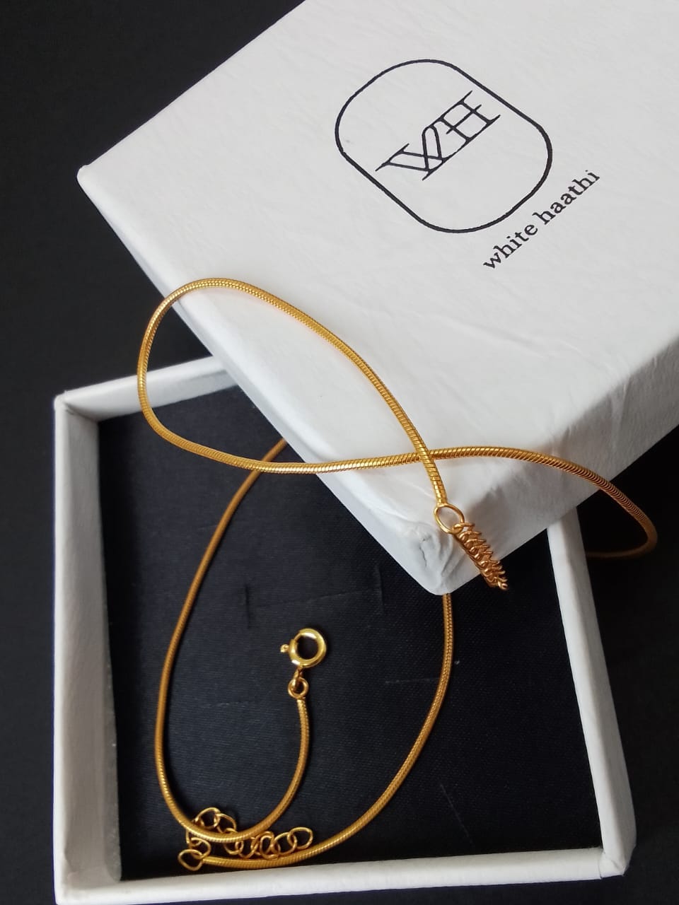 Customer photo review of Snake Chain Anklet