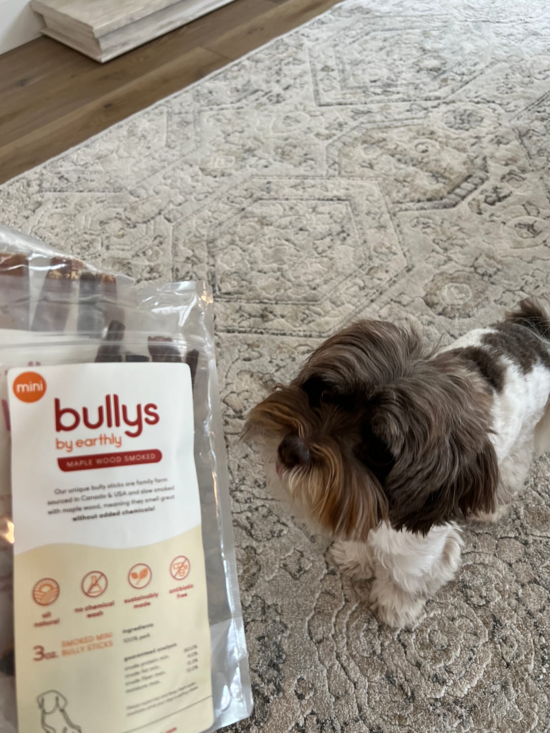 Customer photo review of Mini Pork Bullys For Dogs of All Sizes