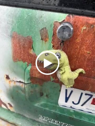 Customer video review of Tuff Rex