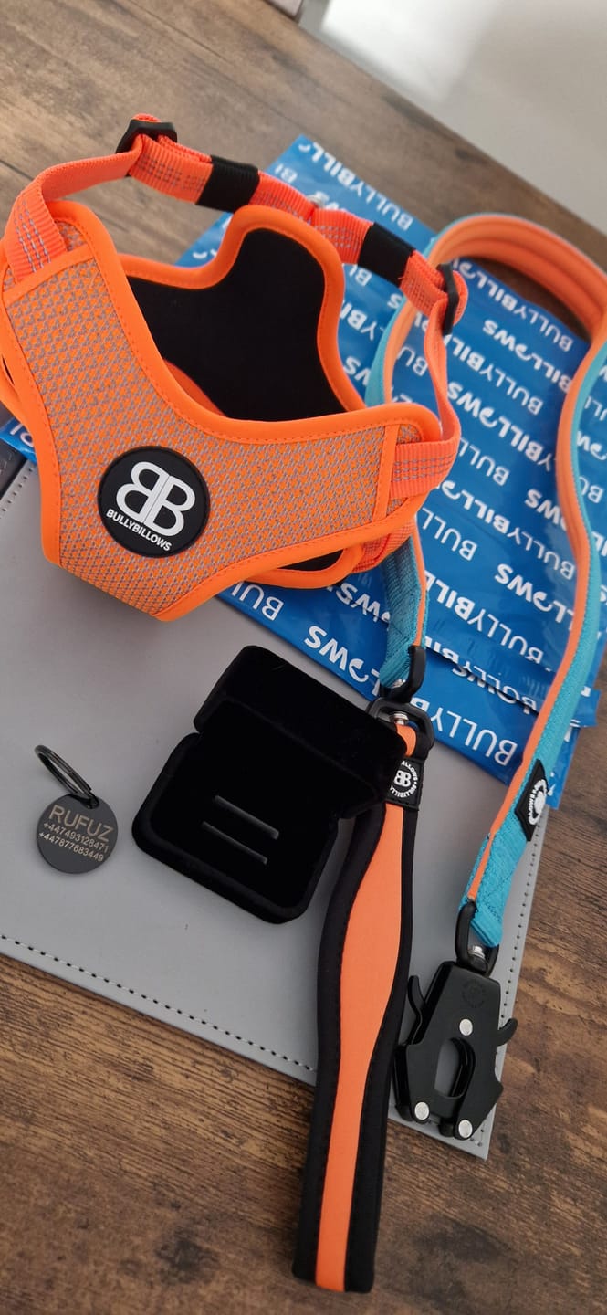 Customer photo review of ID Dog Tag - Black (With Gift Box)