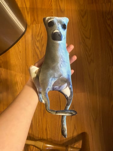 Customer photo review of Custom Pet Pillow