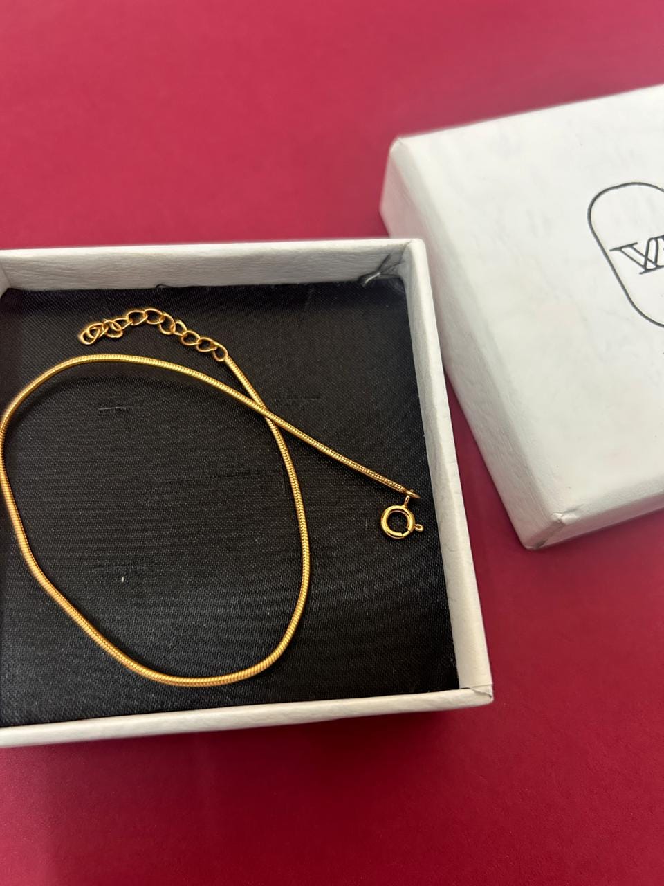 Customer photo review of Snake Chain Anklet