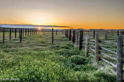 Customer photo review of Men's Sportsman's Two-Pocket Hoodie