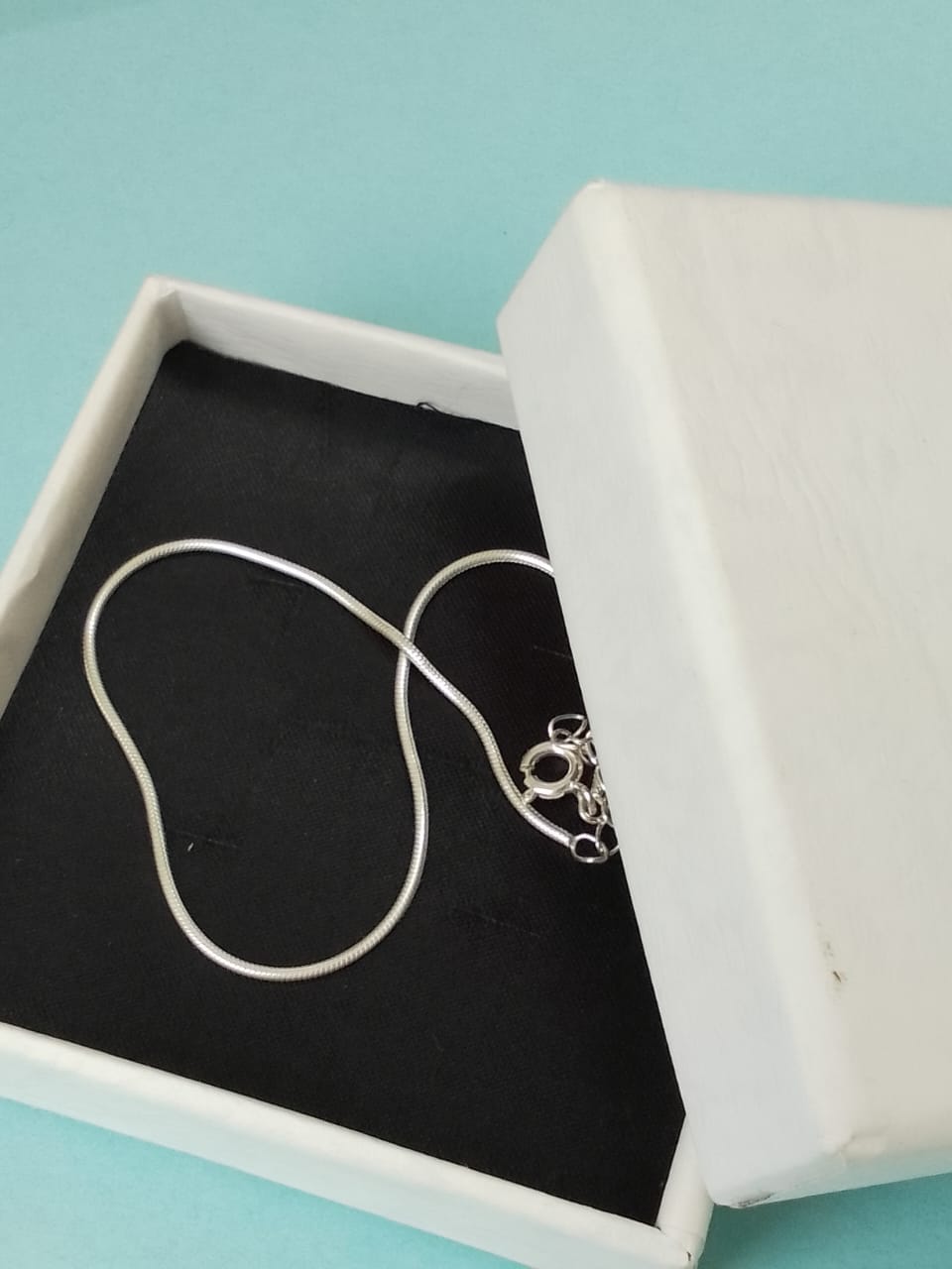 Customer photo review of Snake Chain Anklet