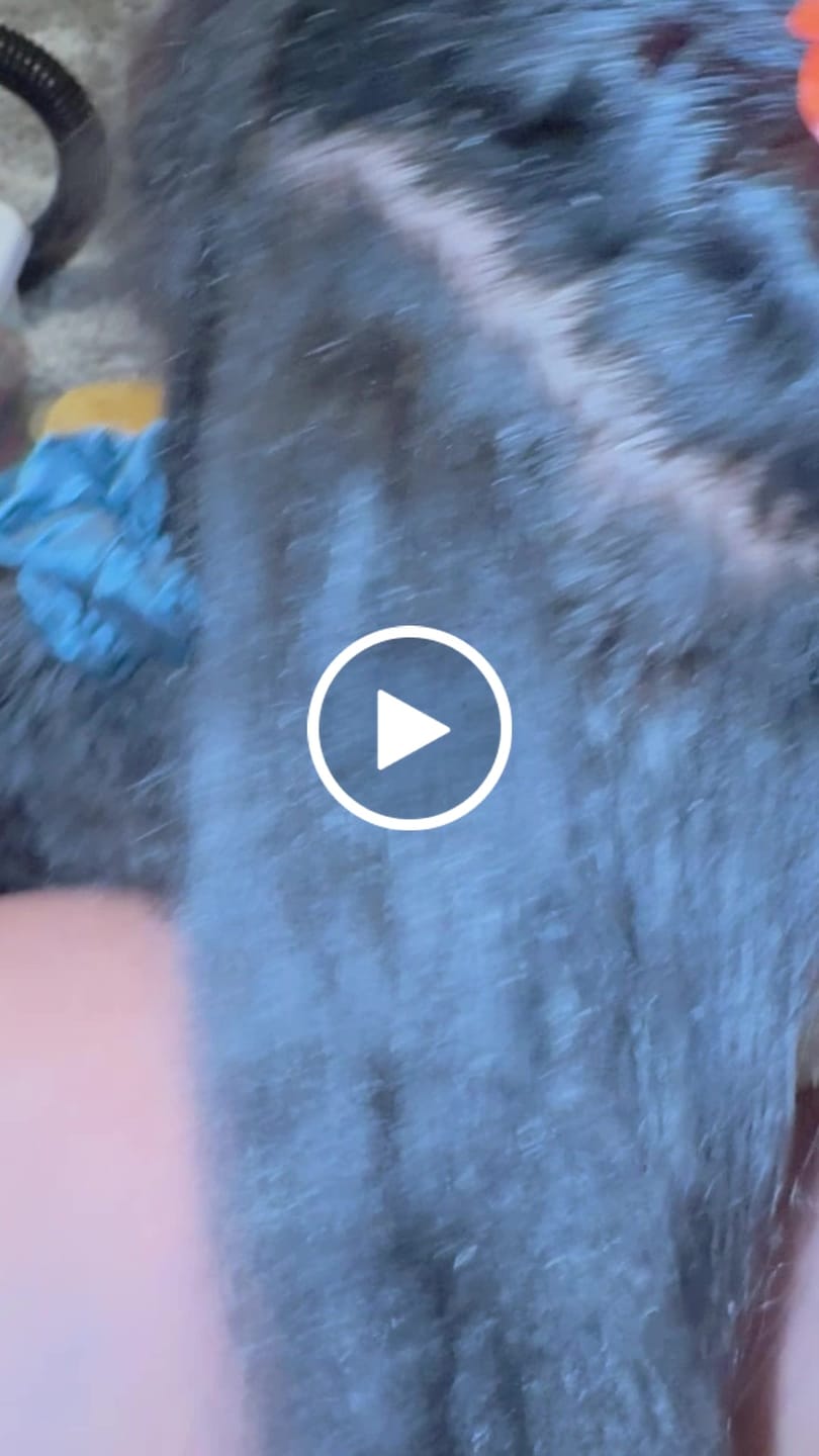 Customer video review of PRIME 3-Minute Moisture Conditioner
