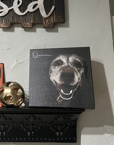 Customer photo review of Pet Art Canvas Wrap