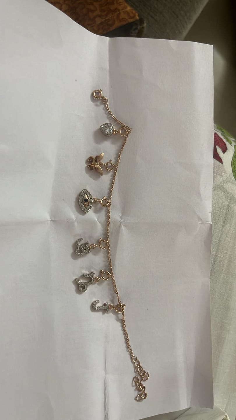 Customer photo review of Charms Bracelet