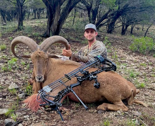 Customer photo review of Beast Broadheads (2-Pack + Practice Tip)