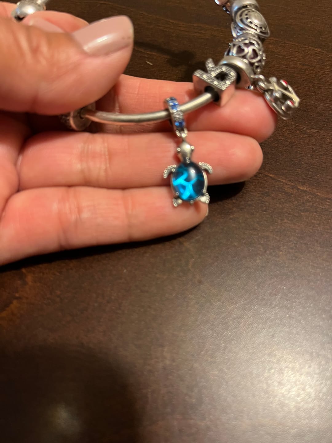 Customer photo review of Charm Tortuga Azul
