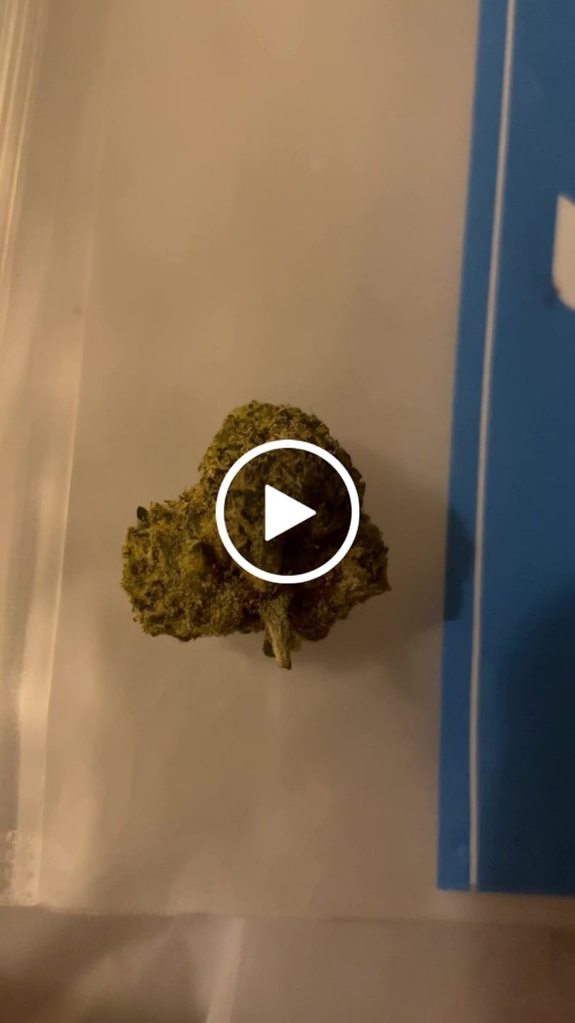 Customer video review of Sour Diesel - THCa Flower