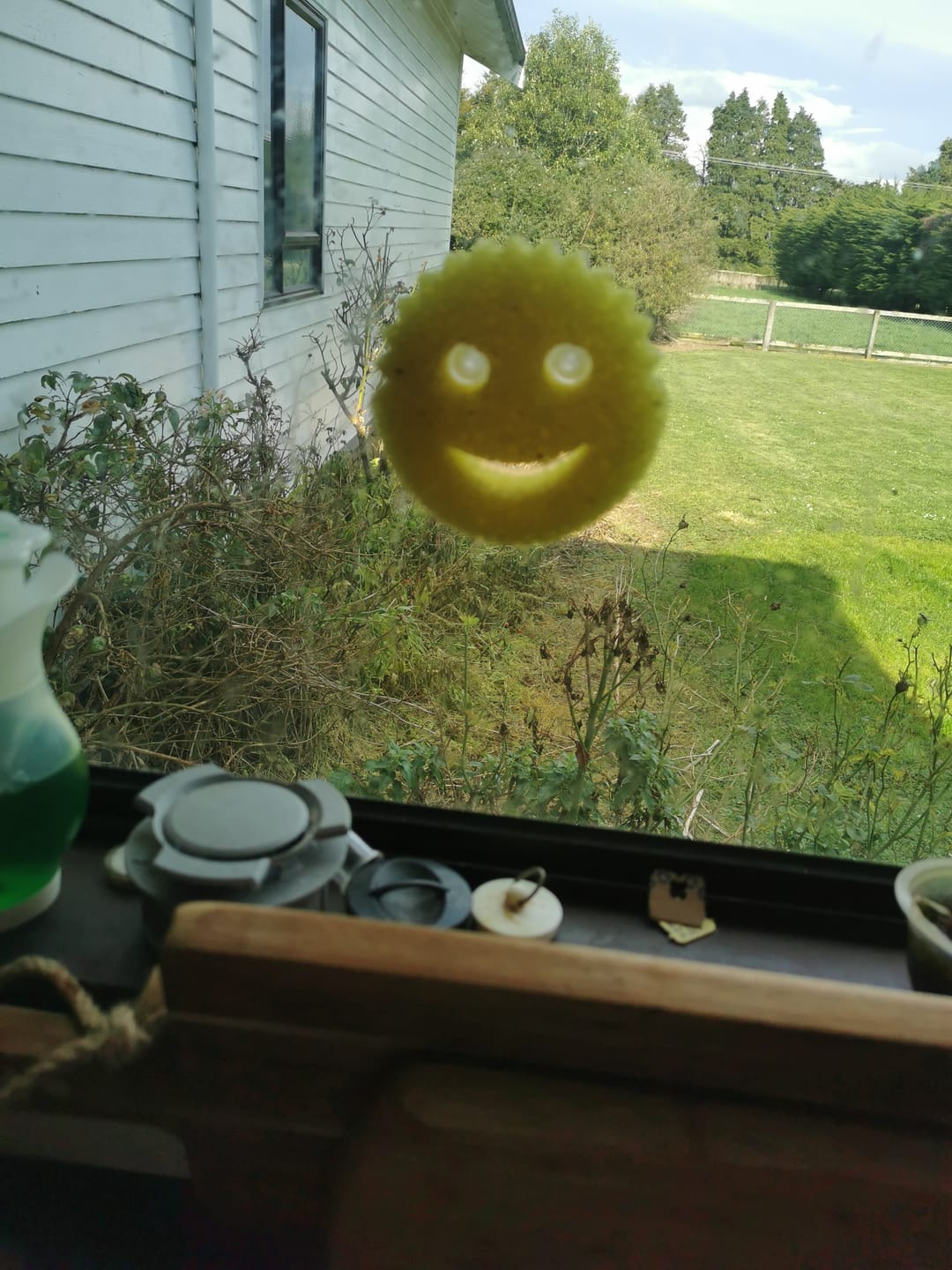 Customer photo review of Scrub Daddy Family (6 Pack)