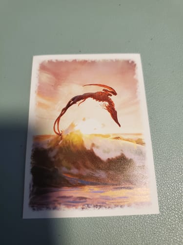 Customer photo review of Custom Card Sleeves