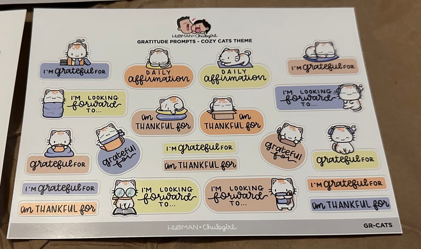Customer photo review of Sticker Sheet - Gratitude Prompts Cozy Cat Theme