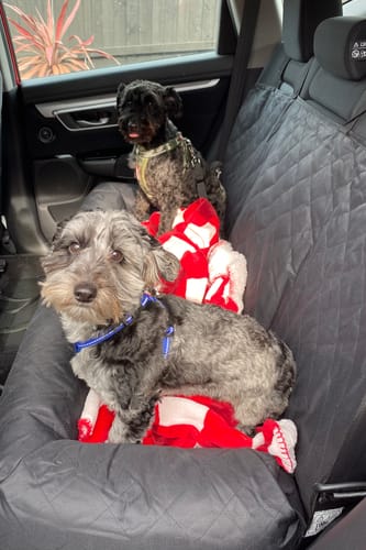Customer photo review of Car Seat Cover