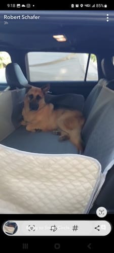 Customer photo review of NEW Waterproof Hard Bottom Car & Truck Seat Foldable Hammock Cover With Storage Pockets, Side Flaps, Headrest Straps, Seat Anchors, & Mesh Window (+FREE SAFETY BELT!)