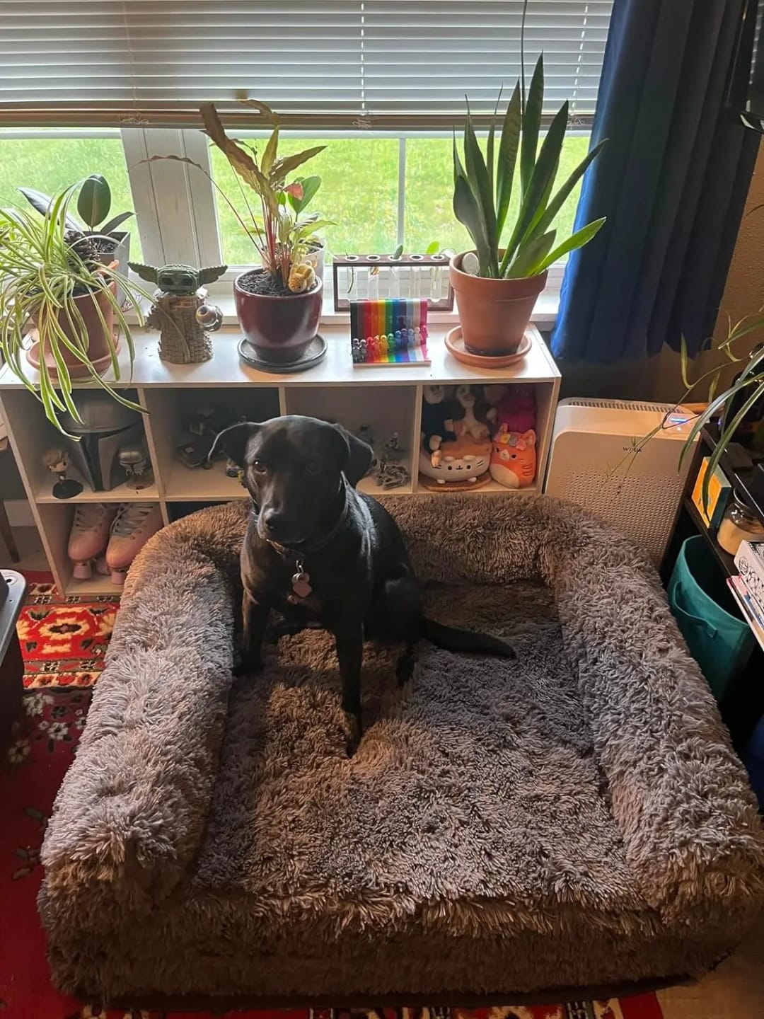 Customer photo review of 2-in-1 Calming Human Size Giant Dog Bed for Pet Families Suitable for Adults Faux Fur Orthopedic Dog Sofa Kennel Plush Beds Cats