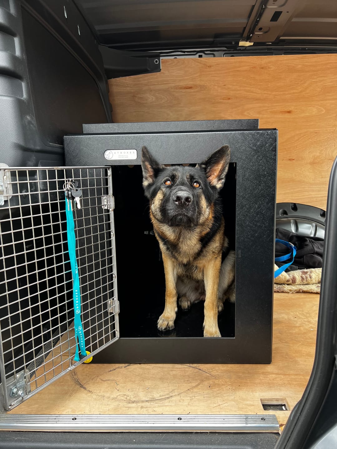 Customer photo review of DT Box Dog Car Travel Crate - The DT 600