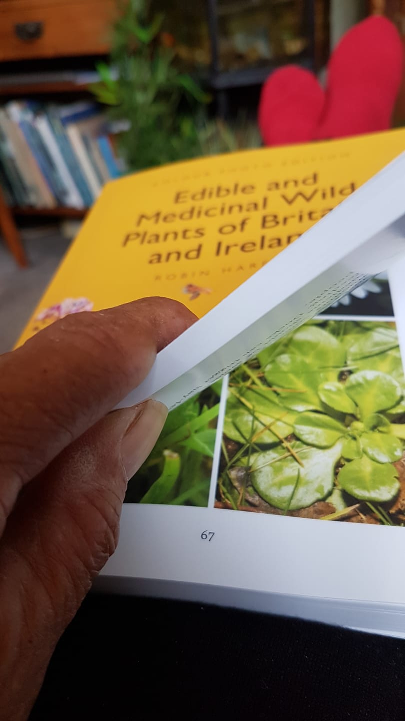 Customer photo review of Edible and Medicinal Wild Plants of Britain and Ireland