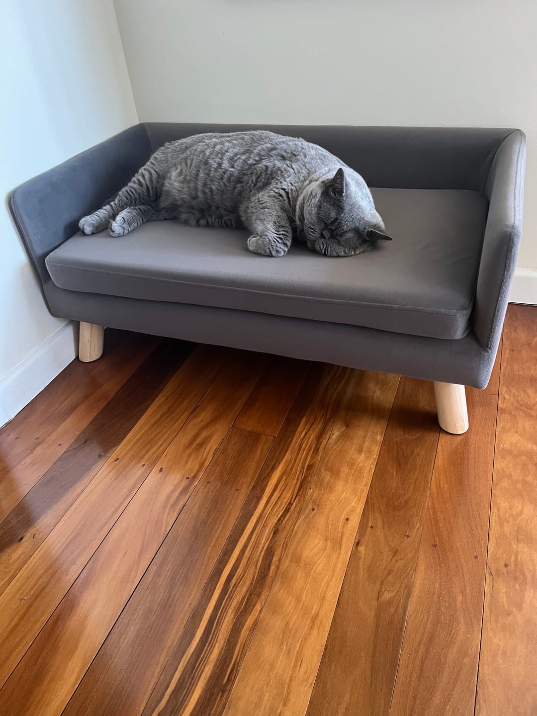 Customer photo review of PaWz Warm Soft Lounge Couch Chair Bed