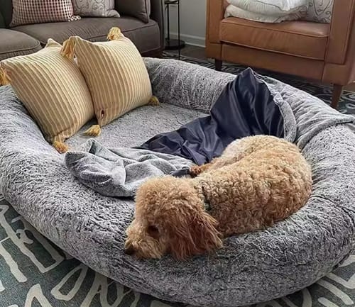 Customer photo review of Cozy Oversized Pet Bed for Dogs & Humans - Calming, Washable