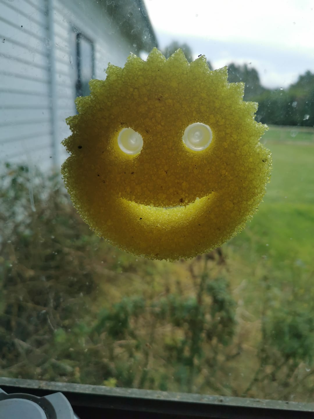 Customer photo review of Scrub Daddy Caddy