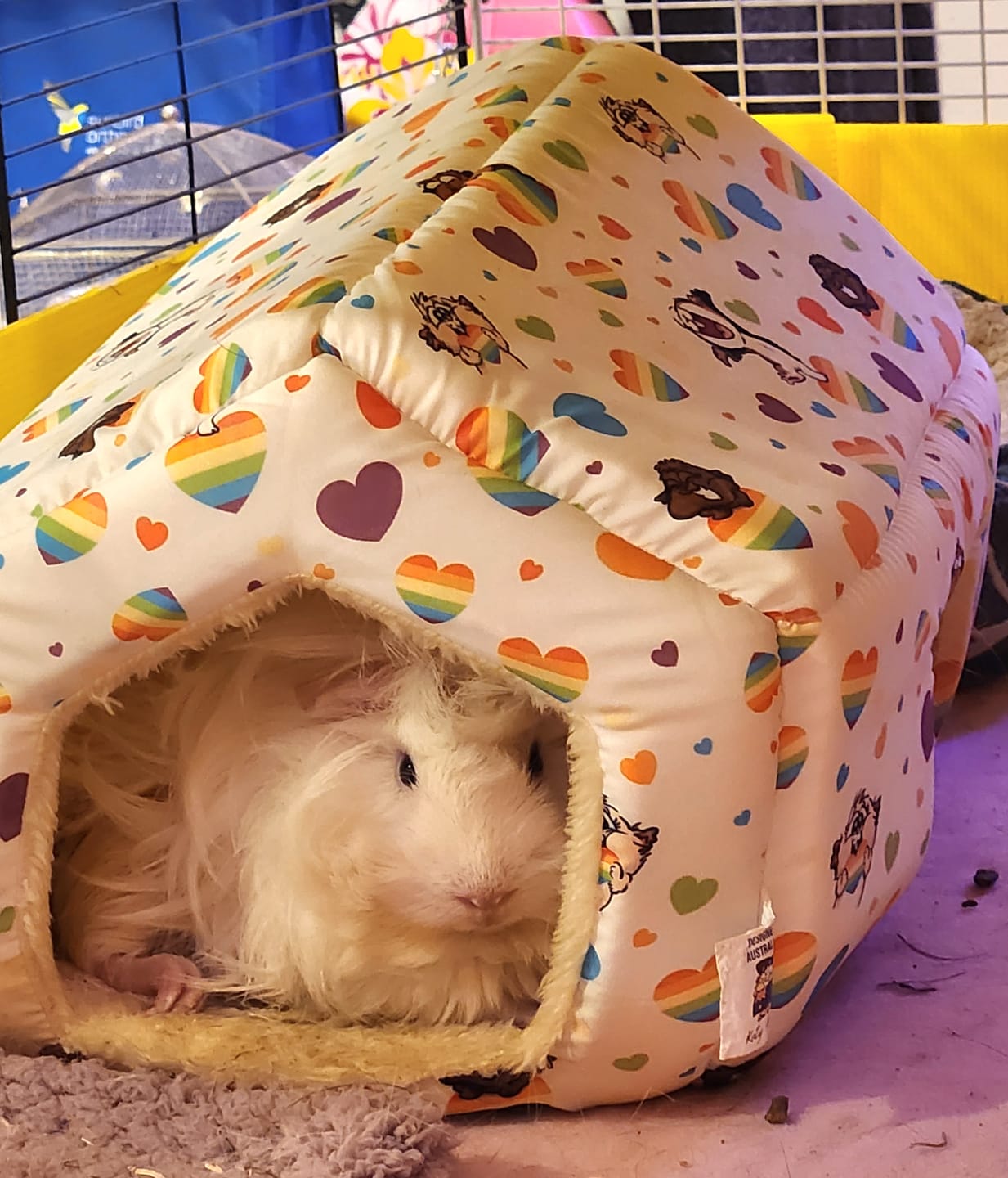 Customer photo review of Cosy Cottage