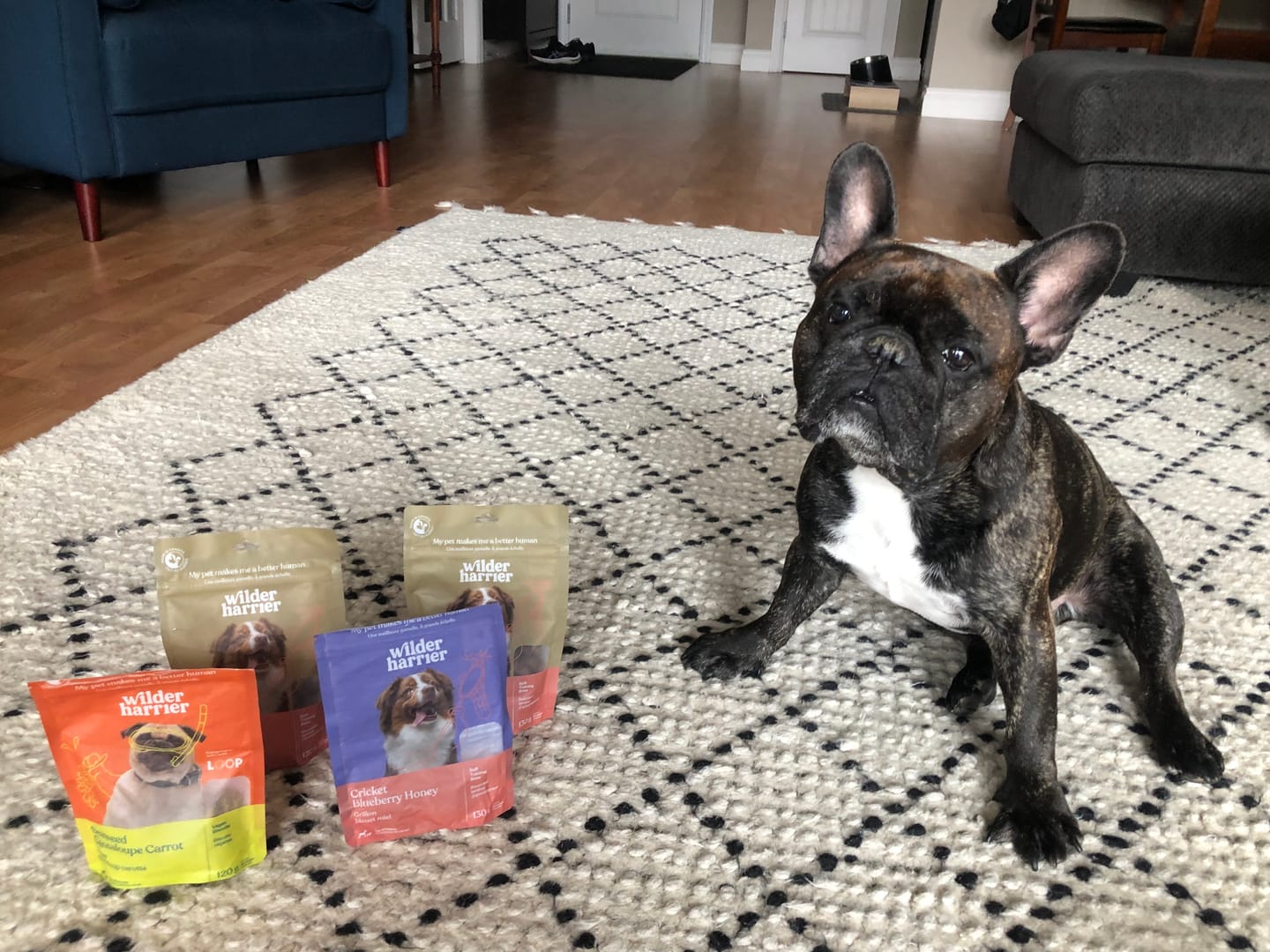 Customer photo review of Discovery Pack