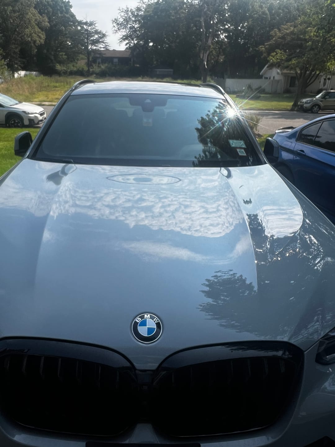 Customer photo review of Water Spot Remover - Full Strength Formula