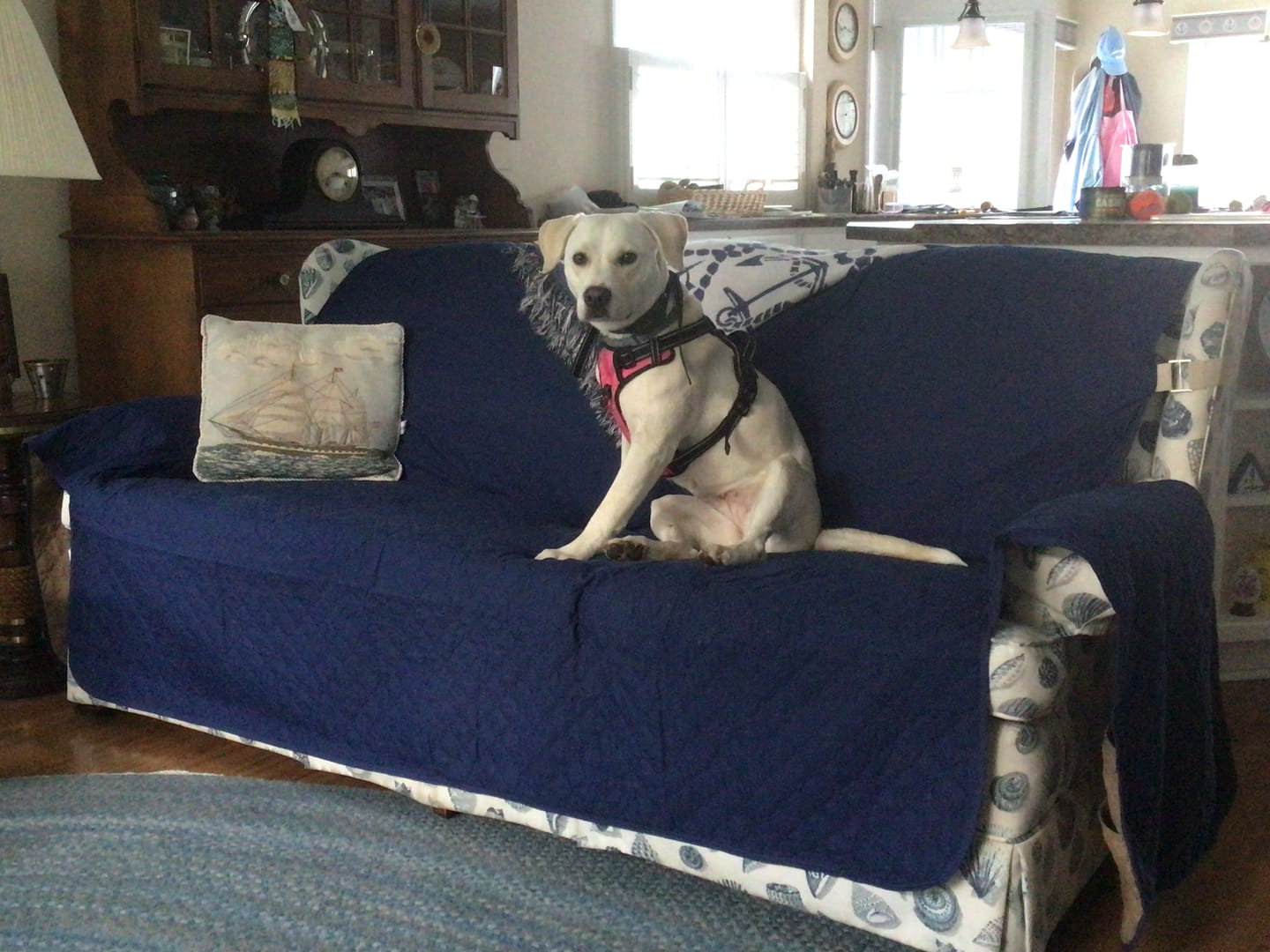 Customer photo review of NEW Machine-Washable, Dryer-Safe Furniture Protector Couch Cover With Side Pockets & Back Straps (+2-In-1 Reversible Colors!)