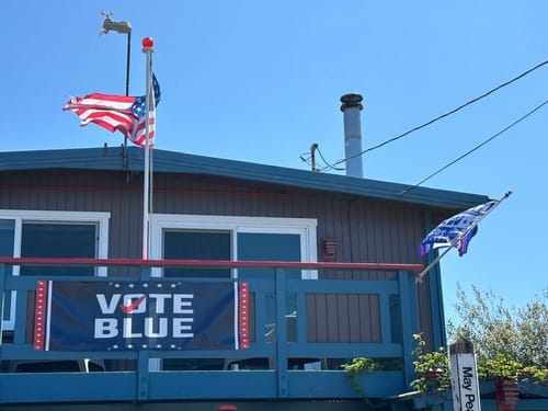 Customer photo review of Vote Blue Save Democracy Banner Sign, 13 Oz Waterproof Vote Democrat Banner, Vote Blue. For President 2024 Banner With Metal Grommets