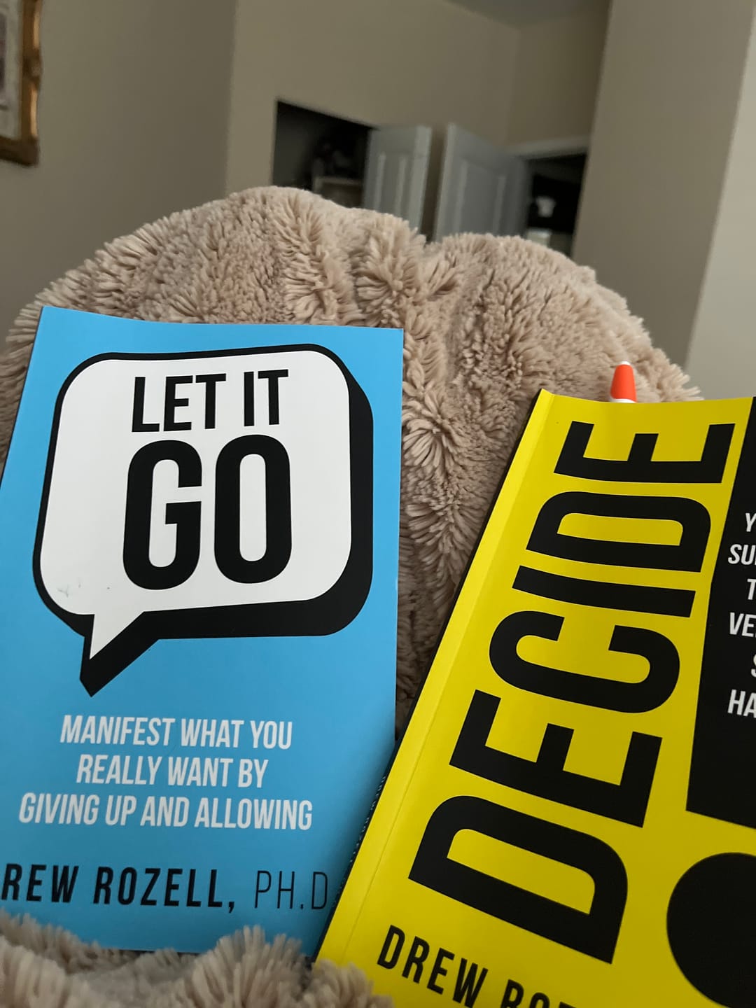 Customer photo review of Save on Two! Let It Go and Decide Bundle