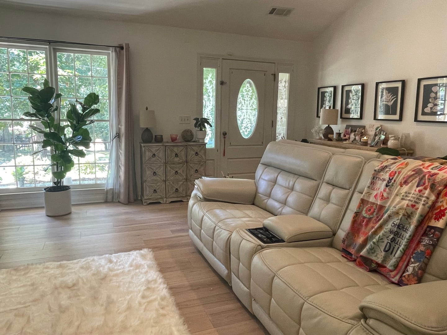 Customer photo review of Ficus Lyrata Tree Form Single, Fiddle Leaf Fig Tree
