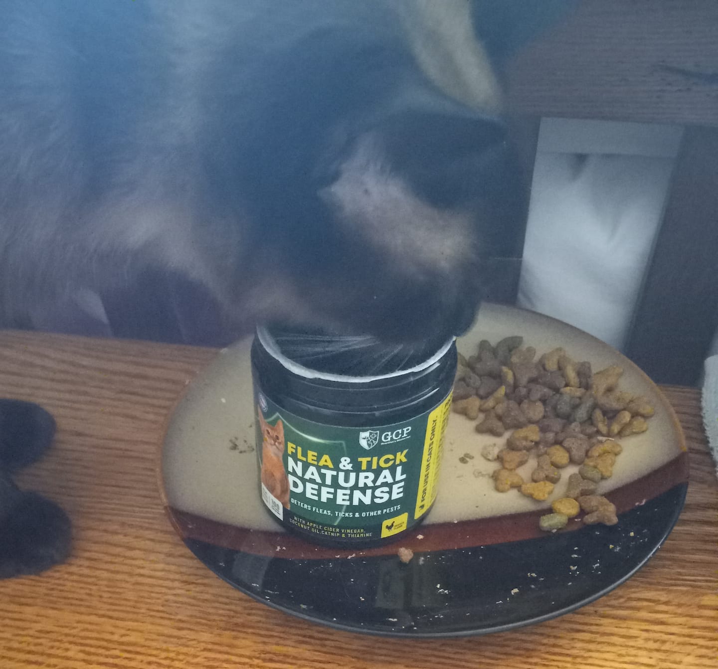 Customer photo review of GCP Flea & Tick Natural Defense for Dogs - 100 Soft Chews