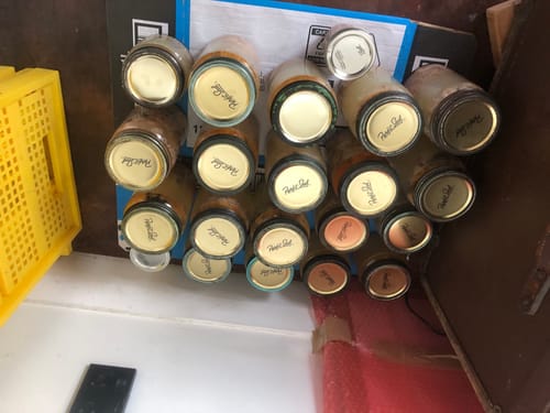 Customer photo review of 5KG Salmon Frames NZ Frozen