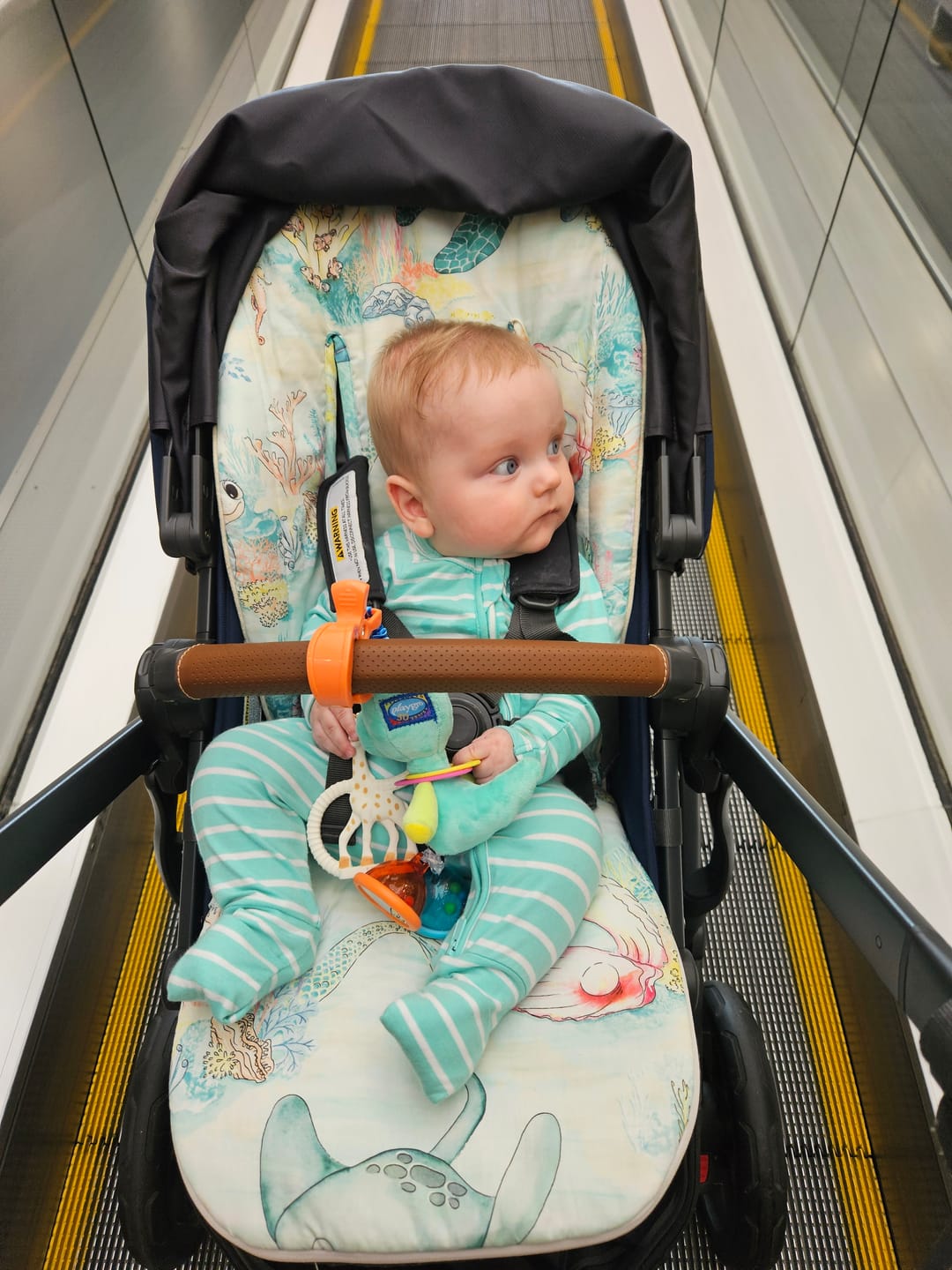 Customer photo review of Universal Pram Liner - Lady Elliot Island