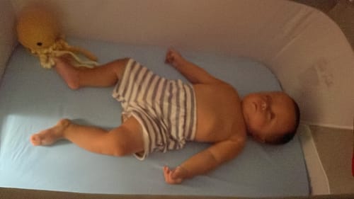 Customer photo review of 2 Spray Repelente Natural de insectos de Citronela, Eucalyptus, Alcanfor, Aceites de limón 200 ml la segunda al 50 % Nenina & Co