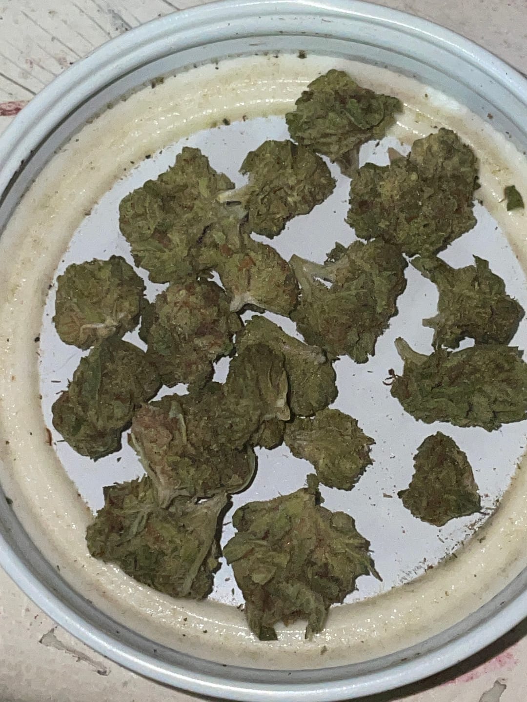Customer photo review of Exotic Micros