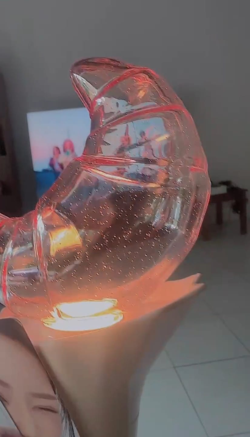 Customer photo review of Loossemble - OFFICIAL LIGHT STICK