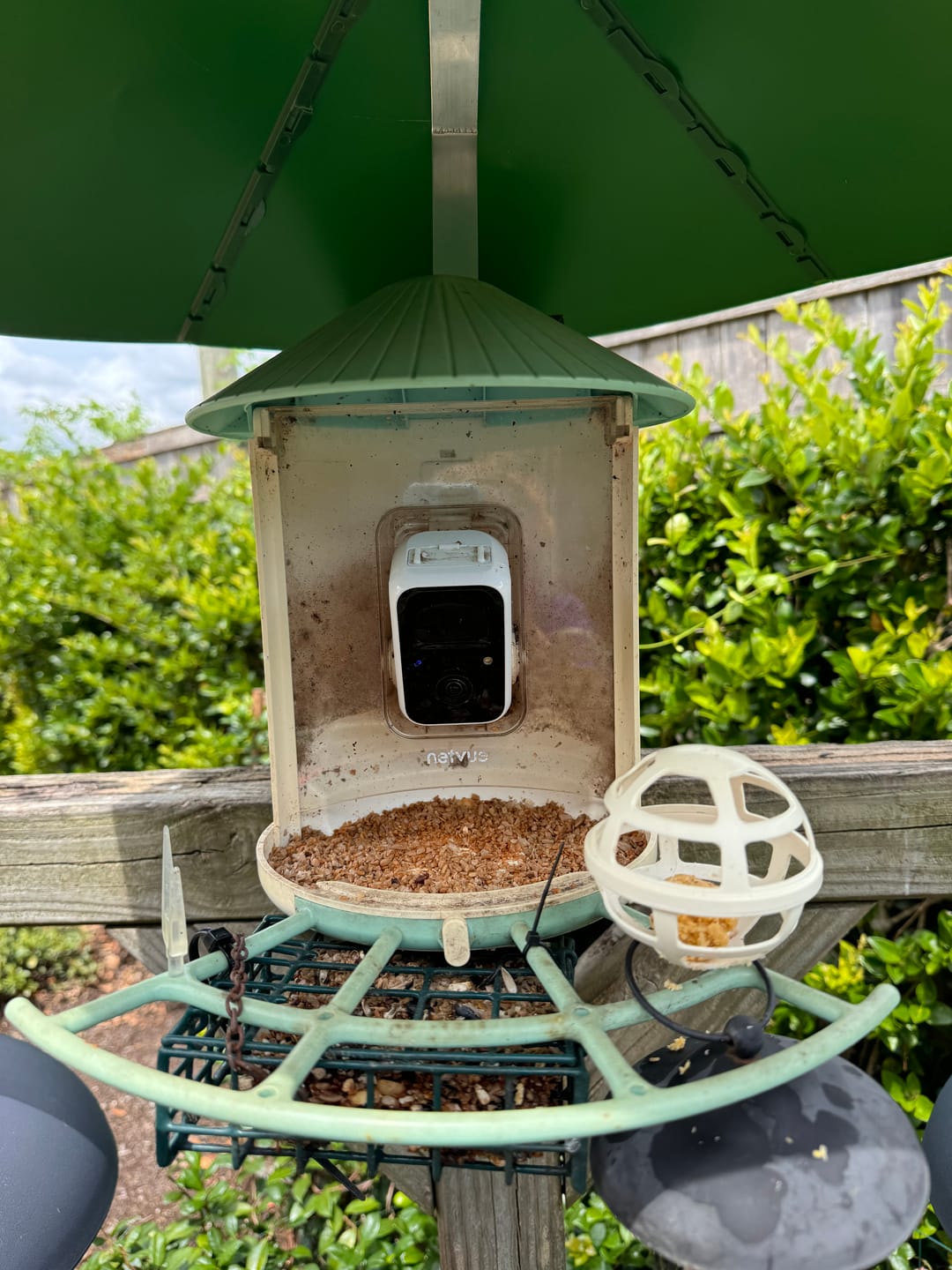 Customer photo review of Birdfy Pro Perch Extension