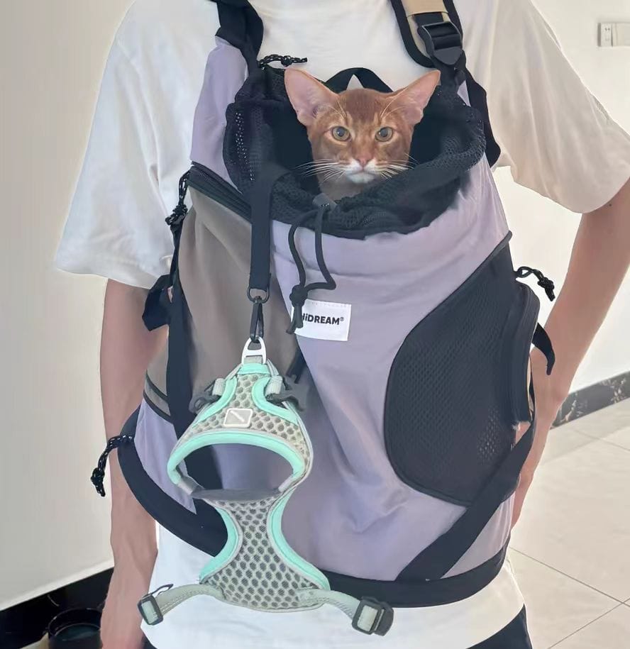 Customer photo review of Comfortable Labor-saving Front Pet Carrier