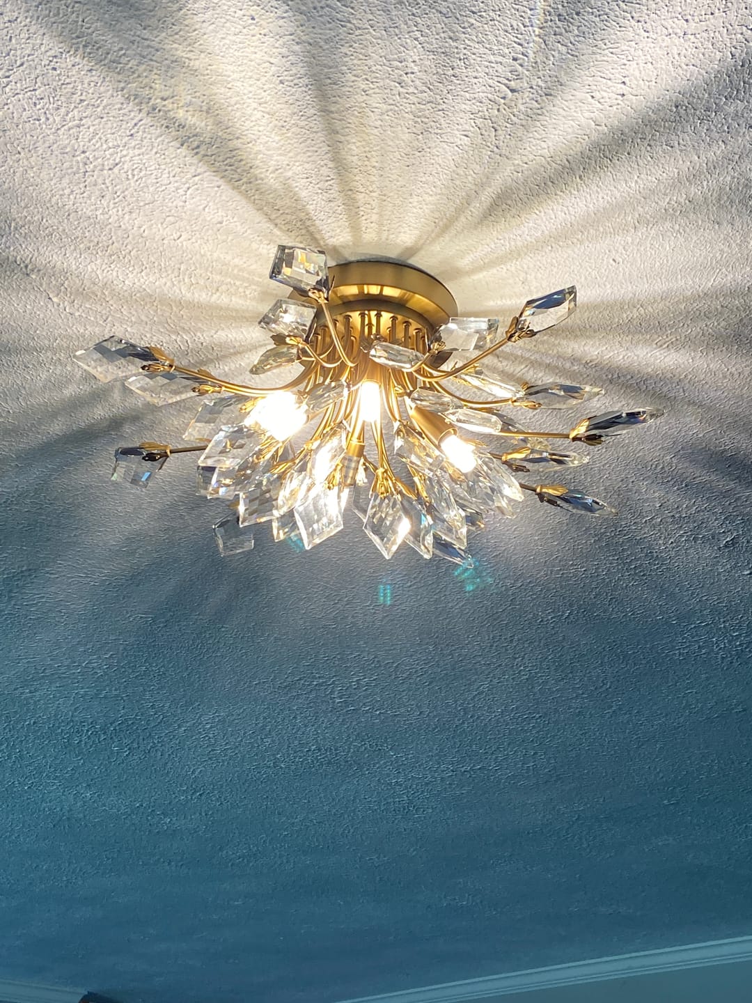 Customer photo review of 4-Light Bloom Crystal Leaf Semi Flush Mount Light