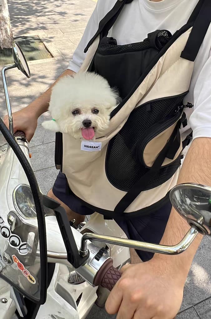 Customer photo review of Comfortable Labor-saving Front Pet Carrier