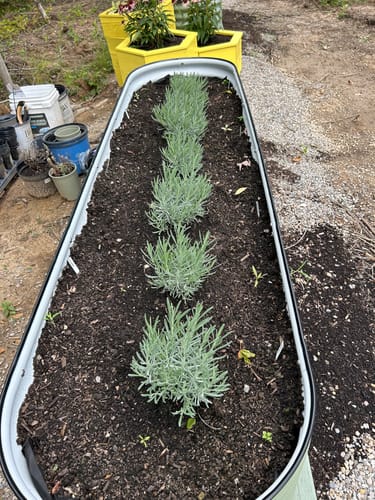 Customer photo review of 17” Tall Modular 9 in 1