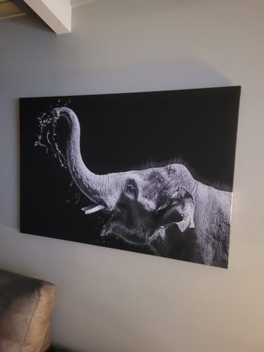 Customer photo review of Playing Elephant