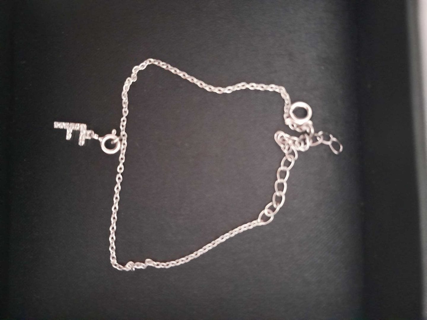 Customer photo review of Charms Bracelet