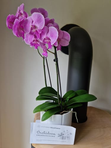 Customer photo review of Überraschungspaket Surprise