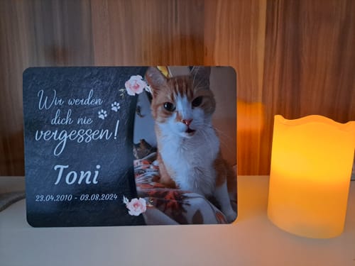 Customer photo review of Katzen Gedenktafel mit Foto & Spruch (UV- & Wetterfest)