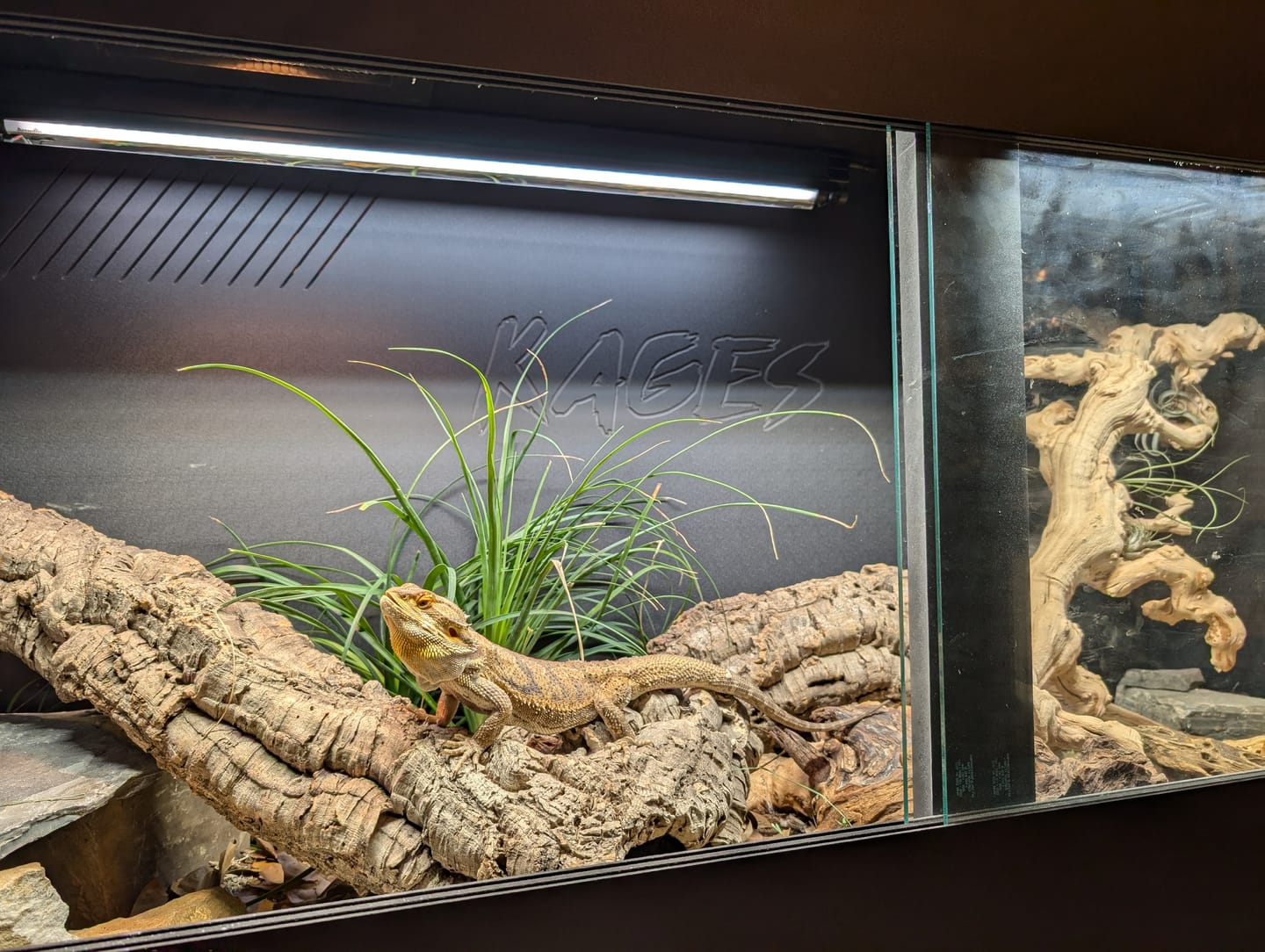 Customer photo review of 60"x24"x36" / 5'x2'x3' Premium PVC Reptile Enclosure